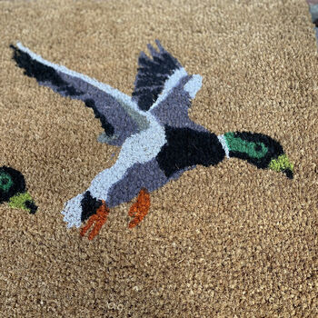 Flying Duck Doormat And Boot Brush Set, 3 of 8