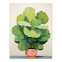 Full Bodied Fiddle Leaf Fig Plant Lovers Wall Art Print, thumbnail 6 of 6