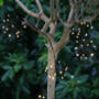 Solar Starburst Chain Garden Lights, thumbnail 2 of 3