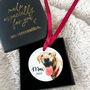 Personalised Dogs First Christmas Bauble Decoration, thumbnail 5 of 10