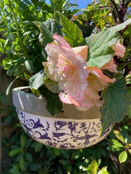 Aged Blue And White Ceramic Hanging Plant Pot Planter, 5 of 5