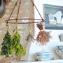 Hanging Steel Herb Drying Rack For Flowers, Herbs Gift, thumbnail 1 of 2