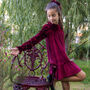Chiara Girls Velvet Dress With Matching Hair Clip, thumbnail 1 of 4