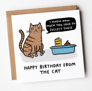 From The Cat Birthday Card By Arrow Gift Co | notonthehighstreet.com