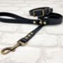 Waterproof Dog Collar And Lead Set Black Ab, thumbnail 1 of 3