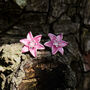 Lily Pink Star Gazer Flower Post Stud Earrings, thumbnail 1 of 3