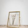 Gold Antique Pressed Flower Frame: Natural Daisies, thumbnail 1 of 7