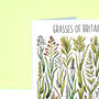 Grasses Of Britain Greeting Card, thumbnail 4 of 7