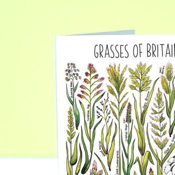 Grasses Of Britain Greeting Card, 4 of 7
