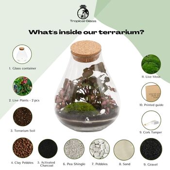 Closed Terrarium Kit With Glass Plants And More | Cuba, 4 of 8