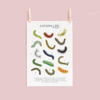 Caterpillars Print, 3 of 3