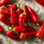 Chilli Plants, 'Super Fresno', thumbnail 7 of 10