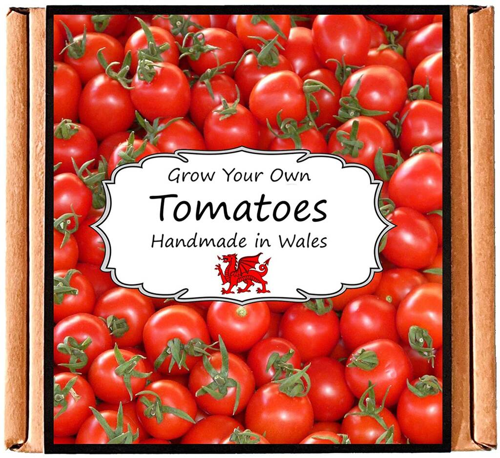 Tomato Growing Kit By Air Armor