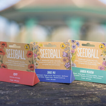Wildflower Seeds Collection Pack Of Three, 3 of 9