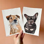 Personalised Pet Illustration In Watercolour, thumbnail 8 of 12