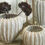 Rishi Linea Pale Ceramic Vase, thumbnail 4 of 4