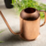 Polished Copper Watering Can – Two Liter, thumbnail 2 of 4