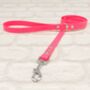 Waterproof Dog Collar And Lead Set Neon Pink, thumbnail 3 of 3