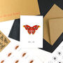 Atlas Moth A6 Greetings Cards, thumbnail 4 of 7