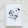 Personalised Pet Portrait Drawing, thumbnail 6 of 11