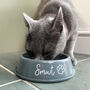 Personalised Cat Bowl, thumbnail 1 of 7