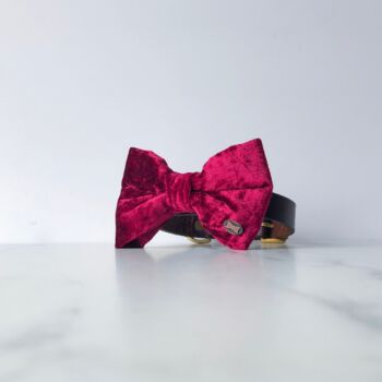 Party Luxe Velvet Dog Bow Ties, 9 of 12