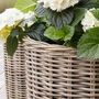 Round Rattan Planter With Curved Base, thumbnail 4 of 4