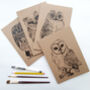 A5 Owl Notebook In A Choice Of Plain Or Lined Paper, thumbnail 1 of 12