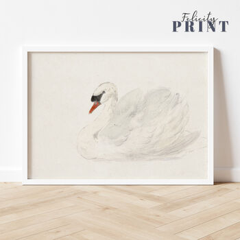 Swan Painting Print, Framed Or Unframed Circa 1700s, 11 of 11