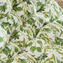 Botanical Leaves Padded Bench Cushion, thumbnail 3 of 5