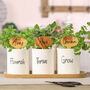 Personalised Gin Herbs Plant Pots, thumbnail 3 of 9