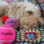Personalised Dog Tennis Balls, thumbnail 12 of 12