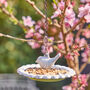 Hanging Flower Garden Bird Dish, thumbnail 6 of 8