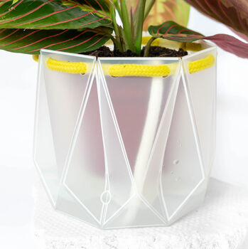 Origami Self Watering Eco Plant Pot: 15cm | Celery Cord, 7 of 9