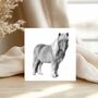 Hand Drawn Shetland Pony Greeting Card Illustration, thumbnail 1 of 5