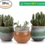 Set Of Three Ceramic Succulent Plant Pots, thumbnail 6 of 8