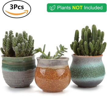 Set Of Three Ceramic Succulent Plant Pots, 6 of 8