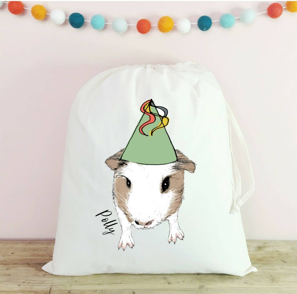 Guinea Pig Gift Bag By PearDerbyshire