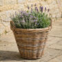 Lira Wicker Round Lined Planter Basket With Handles, thumbnail 5 of 7