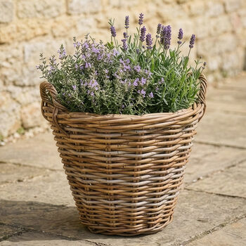 Lira Wicker Round Lined Planter Basket With Handles, 5 of 7