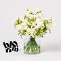 Arctic White Freesia Fresh Flower Bouquet, thumbnail 1 of 2