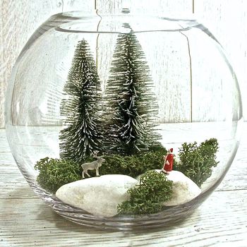 Christmas Santa And Reindeer Terrarium Kit