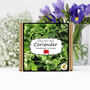Herb Garden Coriander Growing Kit. Gardening Gift, thumbnail 1 of 4