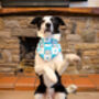 Blue Love Bug Bear Dog Bandana, thumbnail 8 of 8