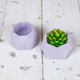 Pink Jesmonite Mini Planters And Tray, thumbnail 10 of 10