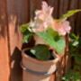16cm Terracotta Flower Pot Planter With Metal Holder, thumbnail 5 of 5