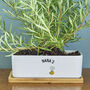 Personalised Make It Your Own Ceramic Bamboo Planter, thumbnail 1 of 3