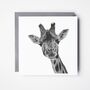 Maya The Giraffe Luxury Blank Greeting Card, thumbnail 1 of 3