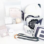 The Ultimate Discovery Bundle Newborn Baby Gift Set, thumbnail 1 of 10