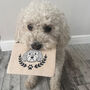 Personalised Ulti Mutt Dog Treat Pouch Bag, thumbnail 2 of 12